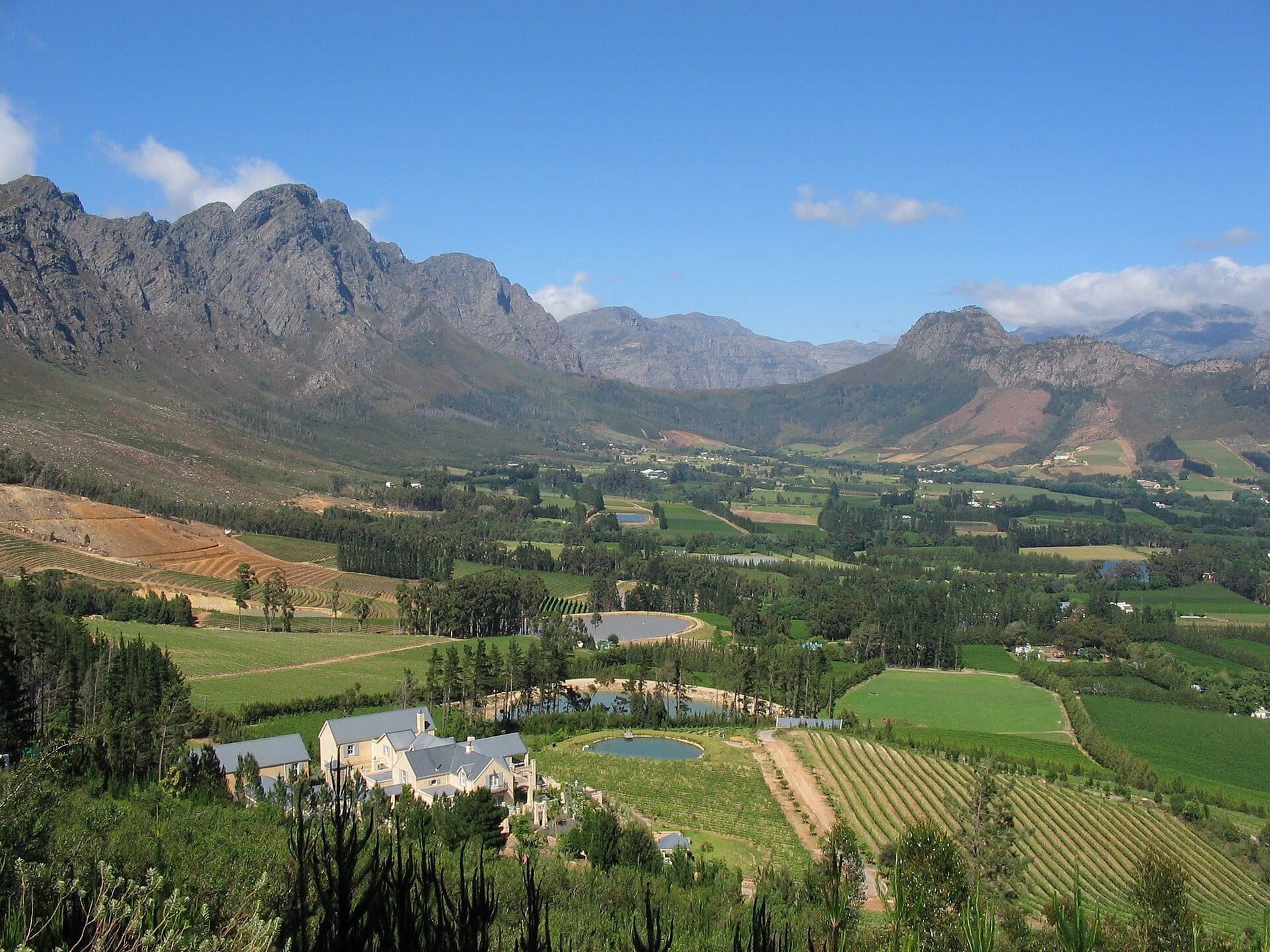 Vineyards on the floor of the Franschhoek valley, ringed by mountains