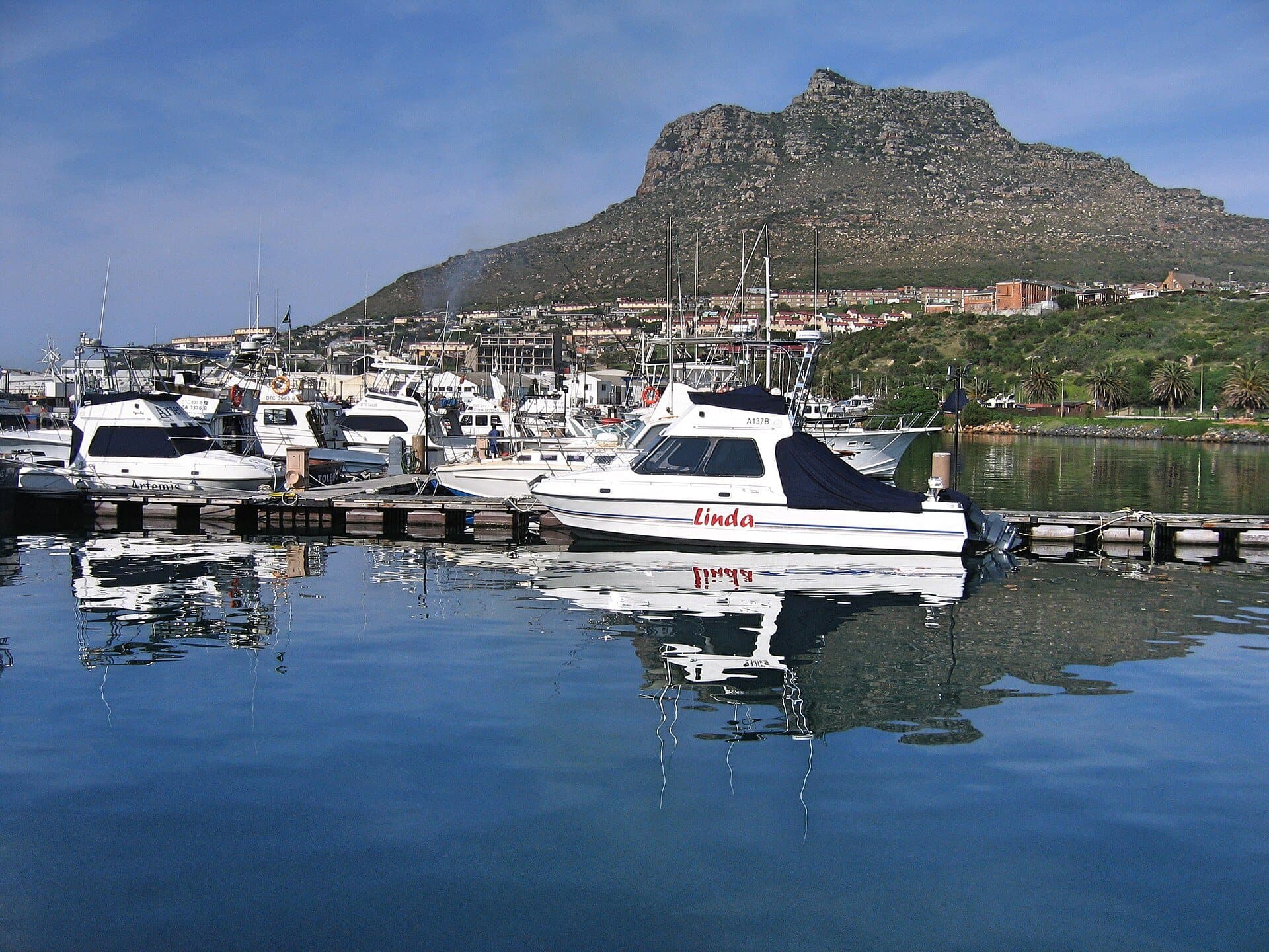 Boats in the Hout Bay marina, with the mountains behind